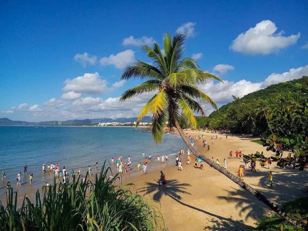 海南,梦幻之岛,播音稿魅力呈现