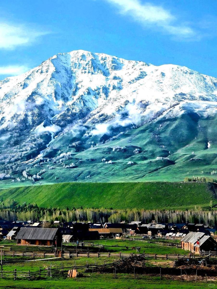 新疆盛情邀请,尊敬的领导与朋友们共聚盛会